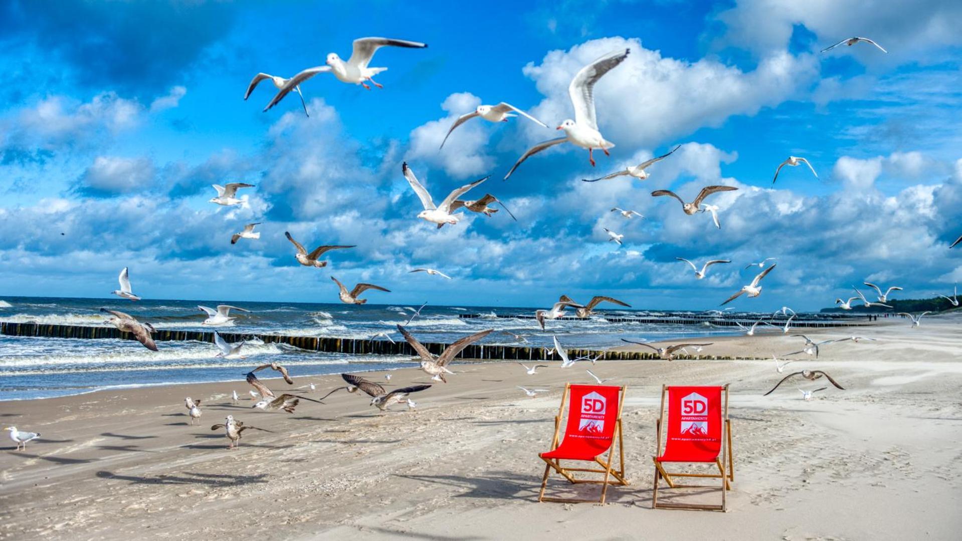 Rezydencja Niechorze 224 - 5D Apartamenty Bagian luar foto